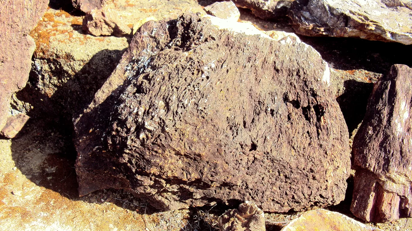 Photo of Ghughua Fossil Park By S H R I P A L 