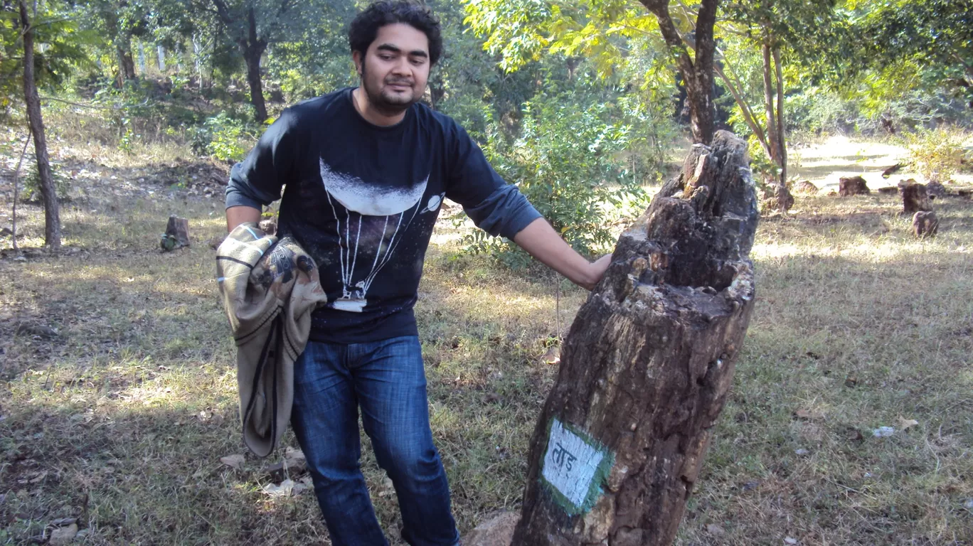 Photo of Ghughua Fossil Park By S H R I P A L 