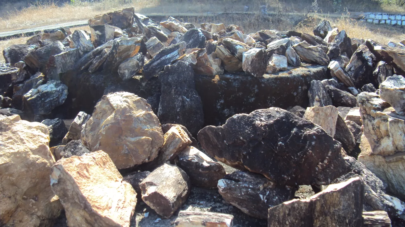 Photo of Ghughua Fossil Park By S H R I P A L 