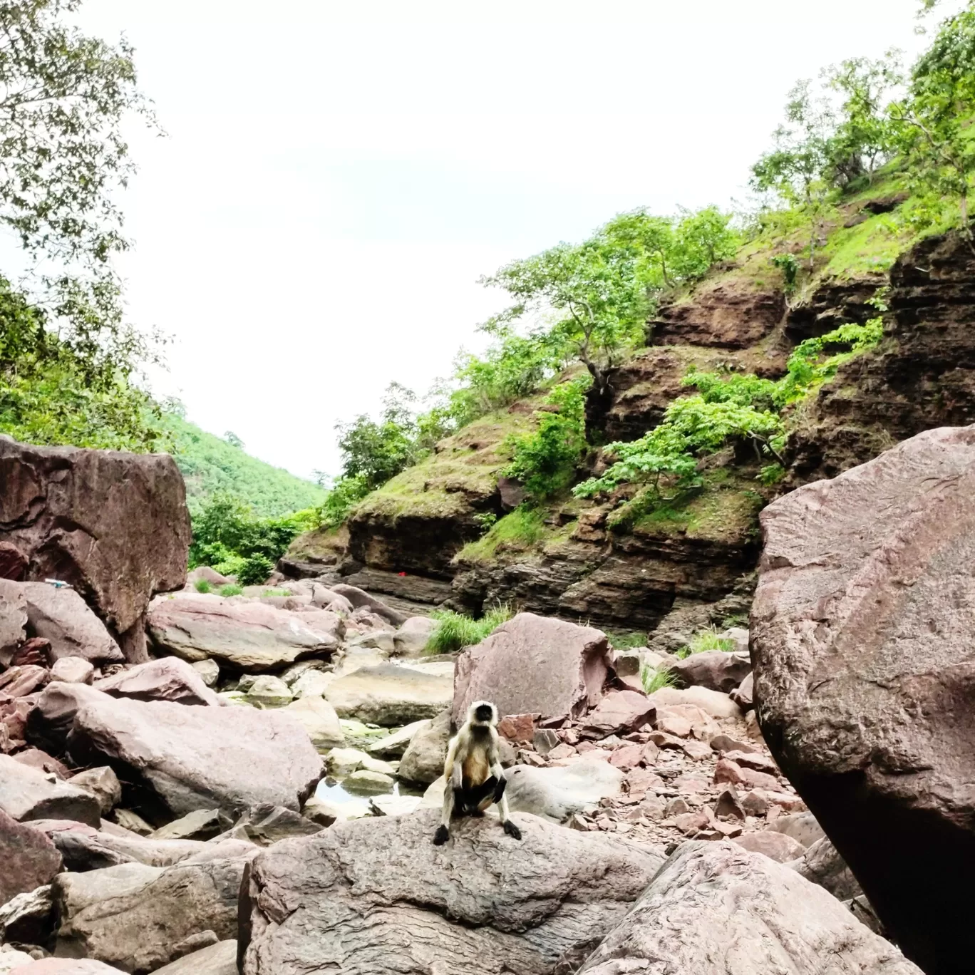 Photo of Nidan Fall By S H R I P A L 