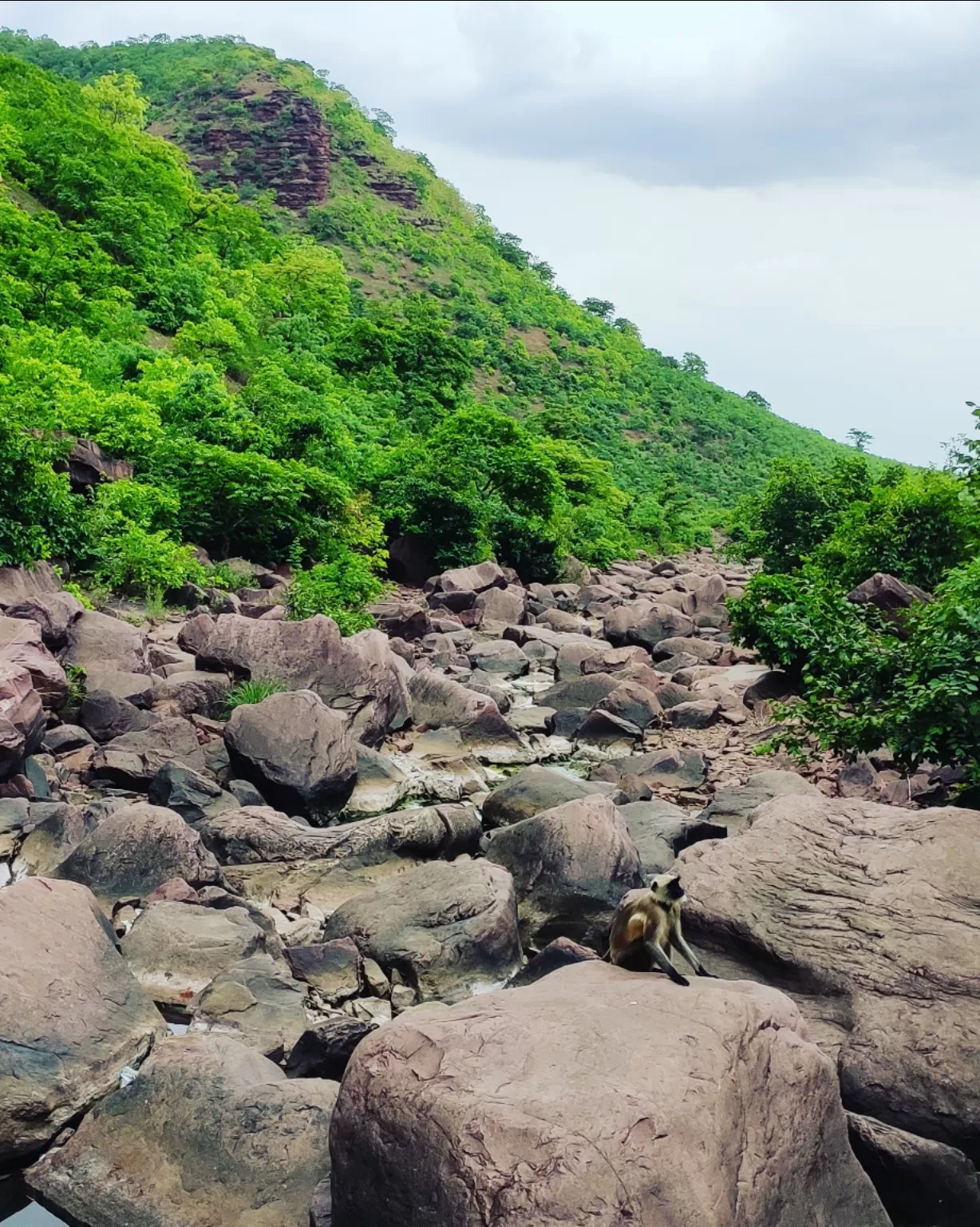 Photo of Nidan Fall By S H R I P A L 
