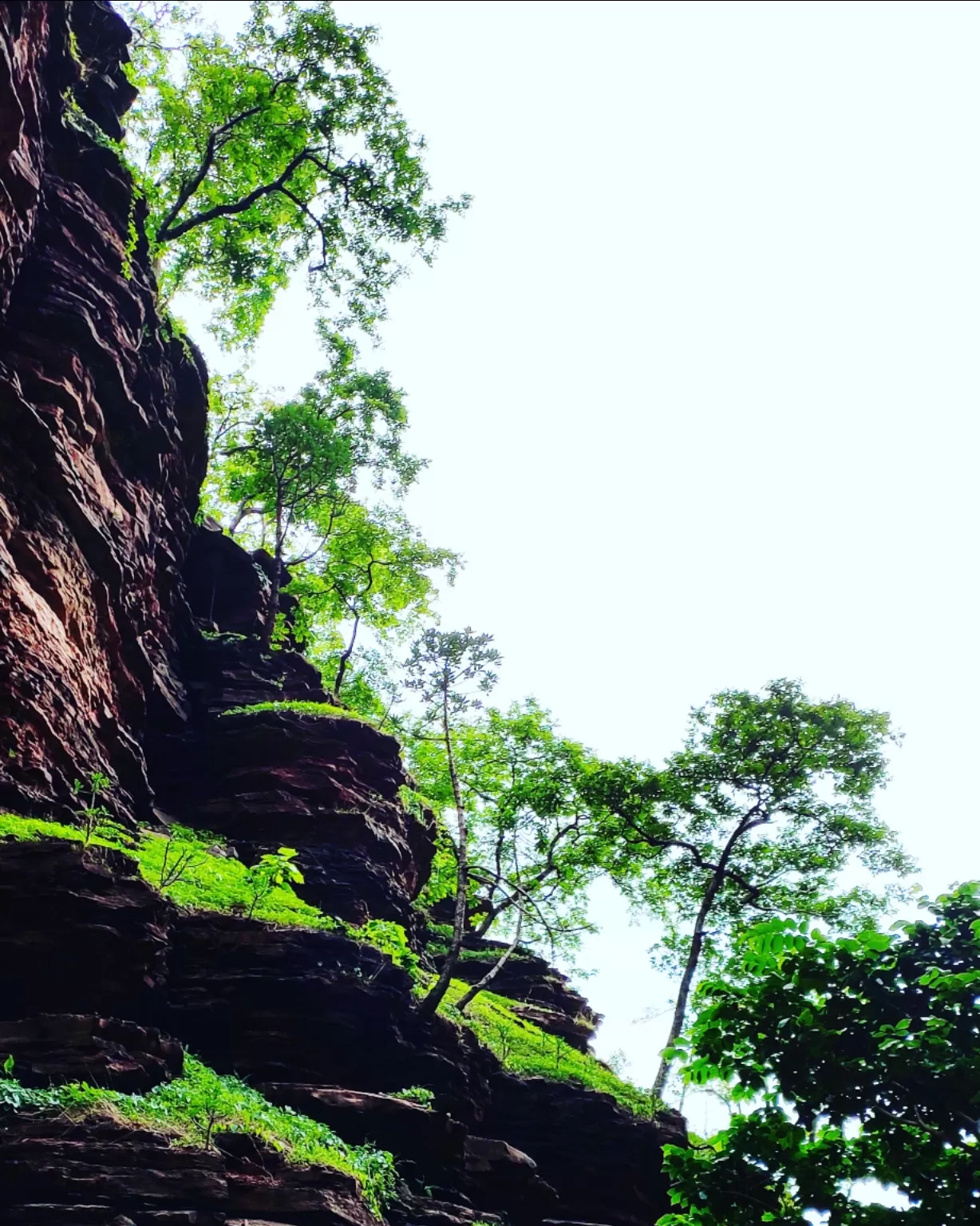 Photo of Nidan Fall By S H R I P A L 