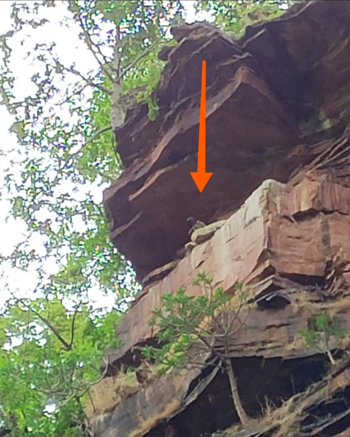 Photo of Nidan Fall By S H R I P A L 
