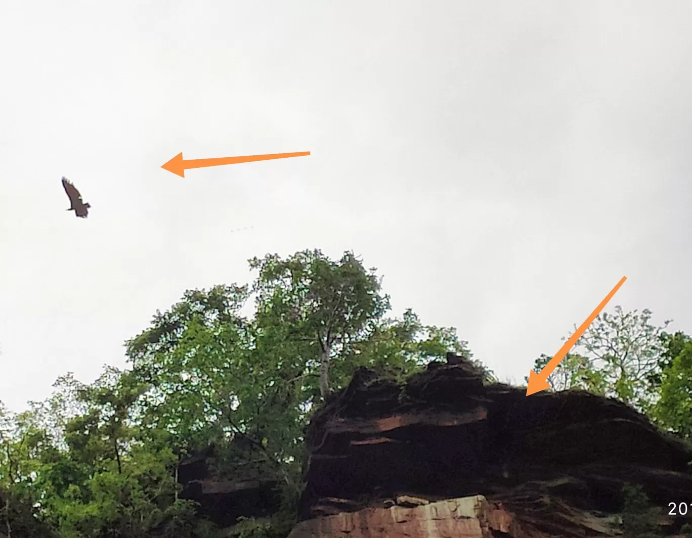 Photo of Nidan Fall By S H R I P A L 