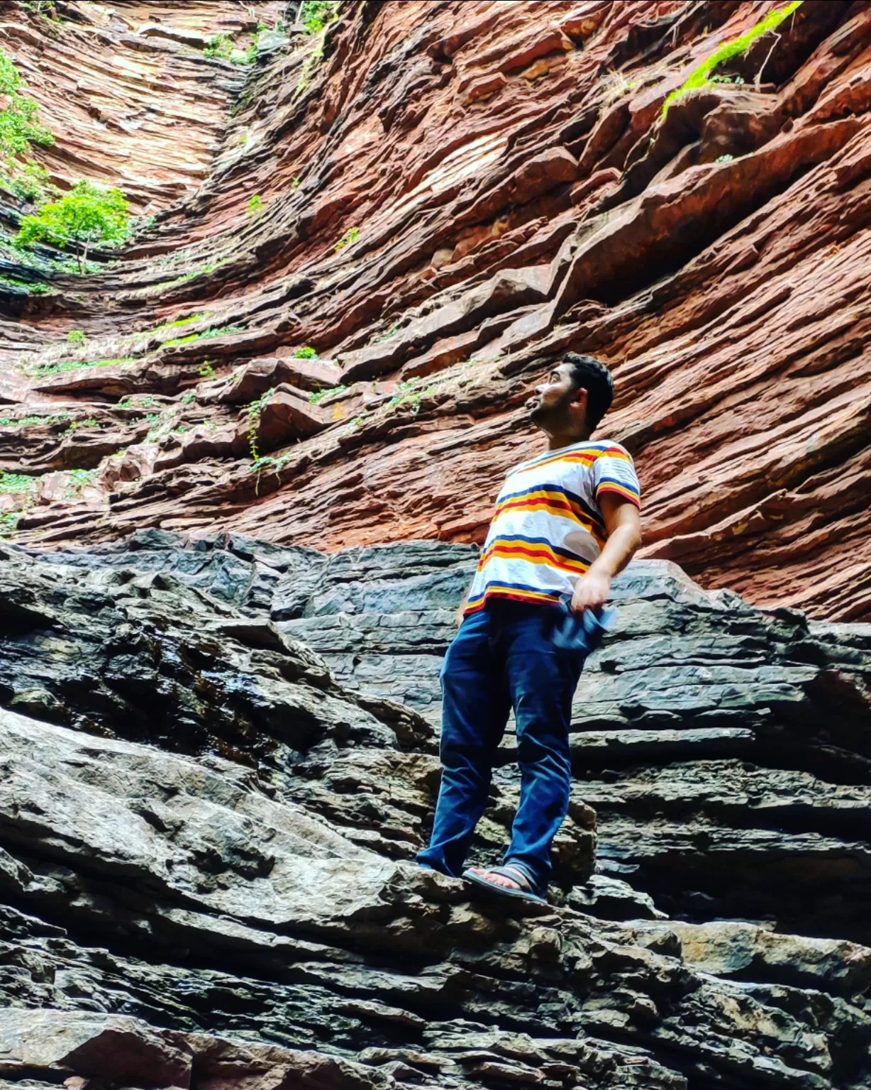 Photo of Nidan Fall By S H R I P A L 