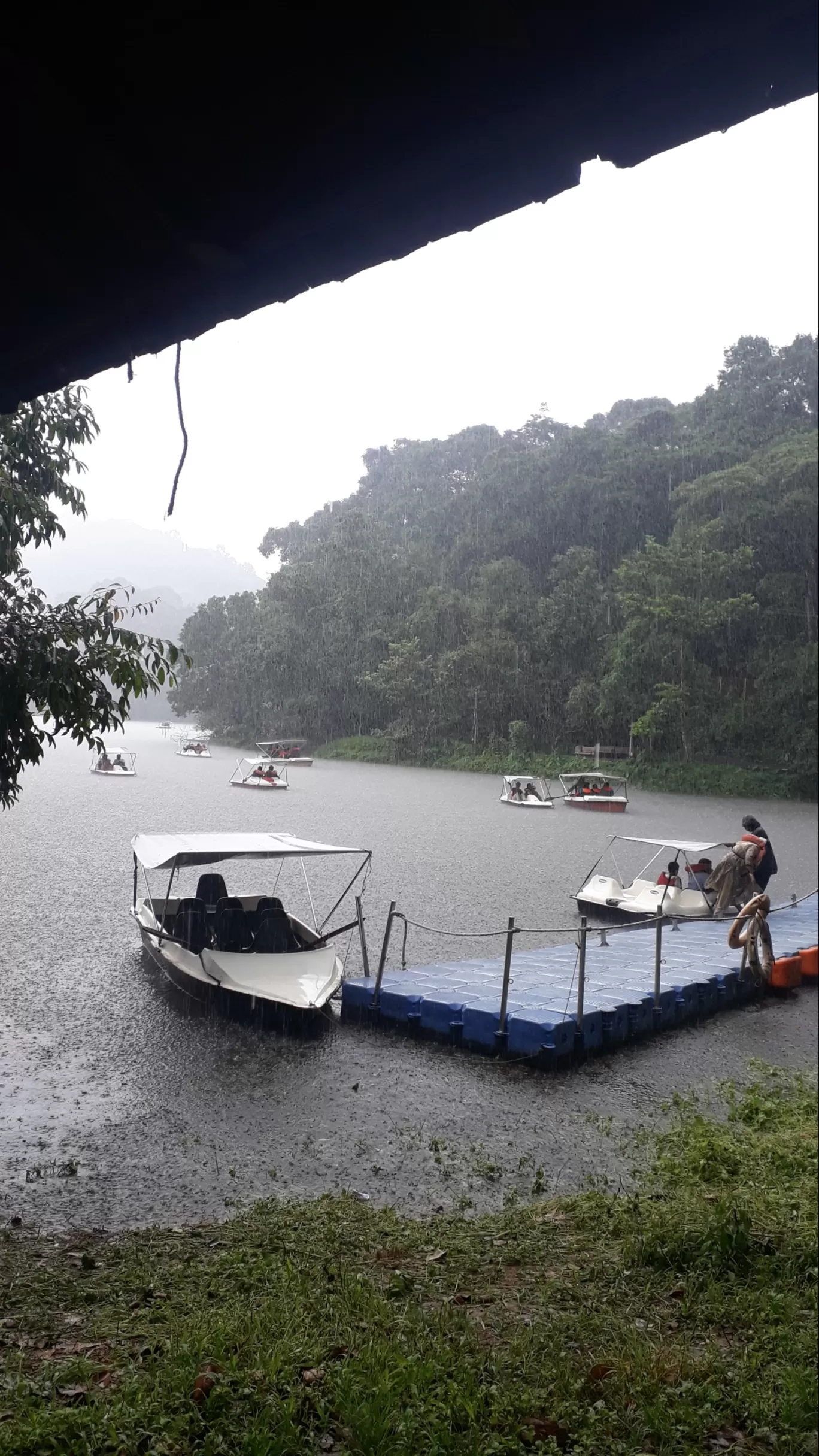 Photo of Pookode Lake By Suvarna savant