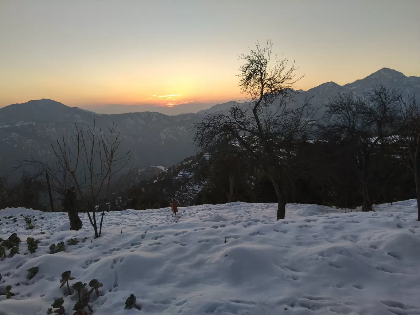 Photo of Chamba - Mussoorie Rd By Sunita Bailwal