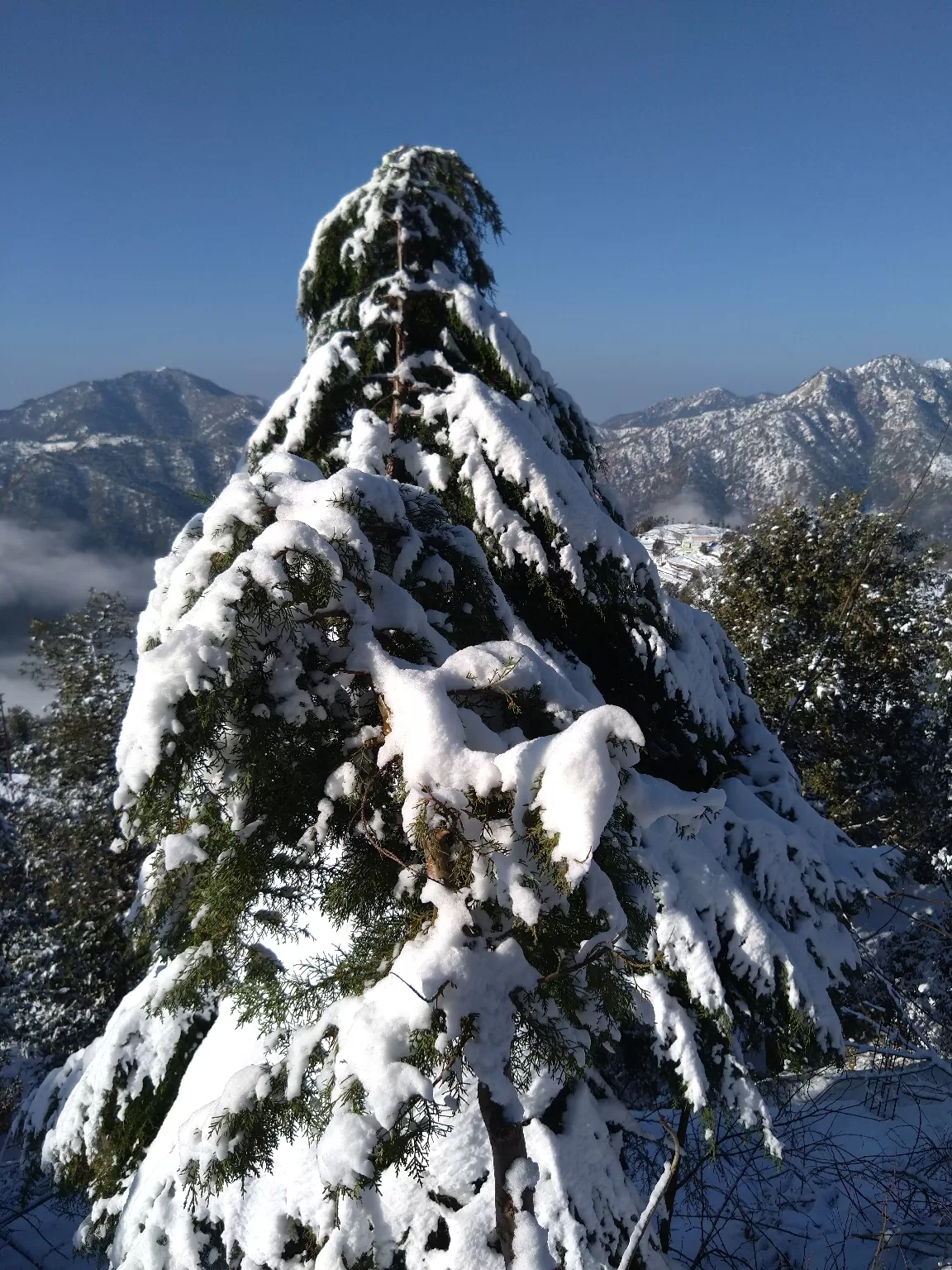 Photo of Chamba - Mussoorie Rd By Sunita Bailwal