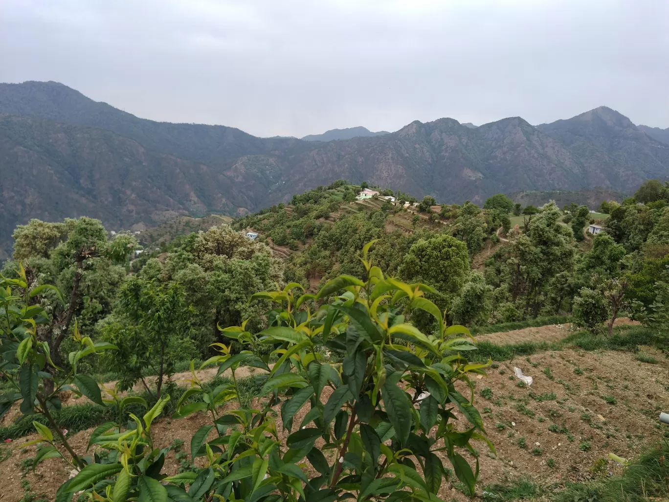 Photo of Chamba - Mussoorie Rd By Sunita Bailwal