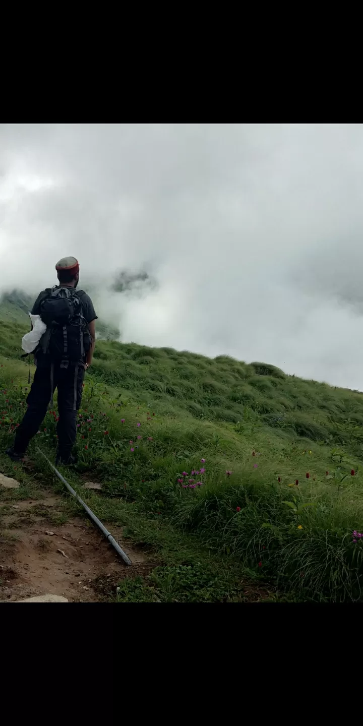 Photo of Pangi By Anshu Verma