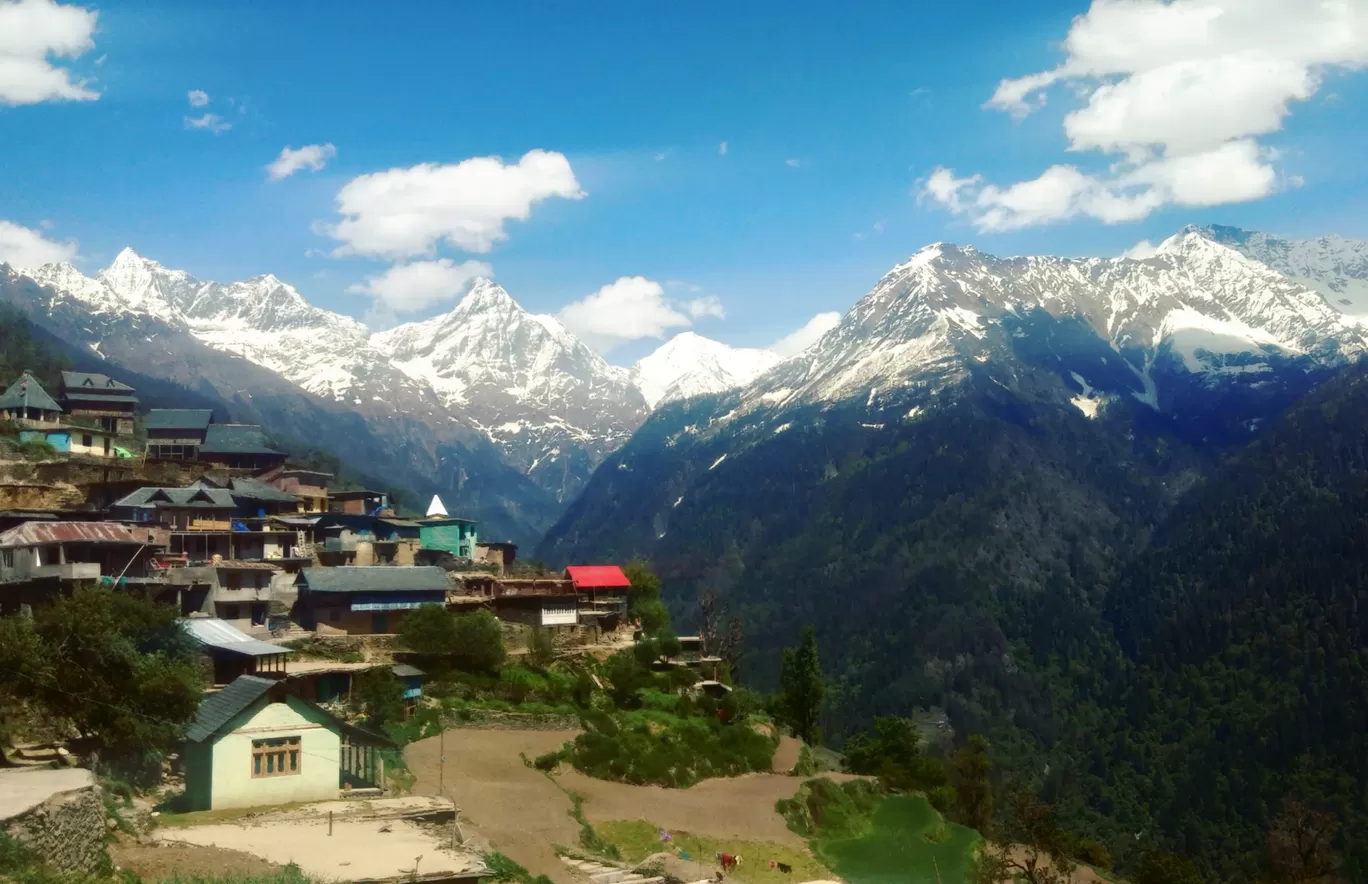 Photo of Pangi By Anshu Verma