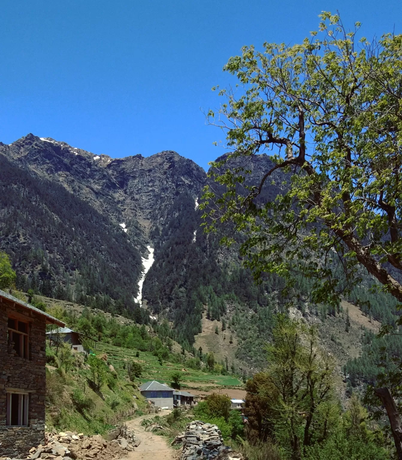 Photo of Pangi By Anshu Verma
