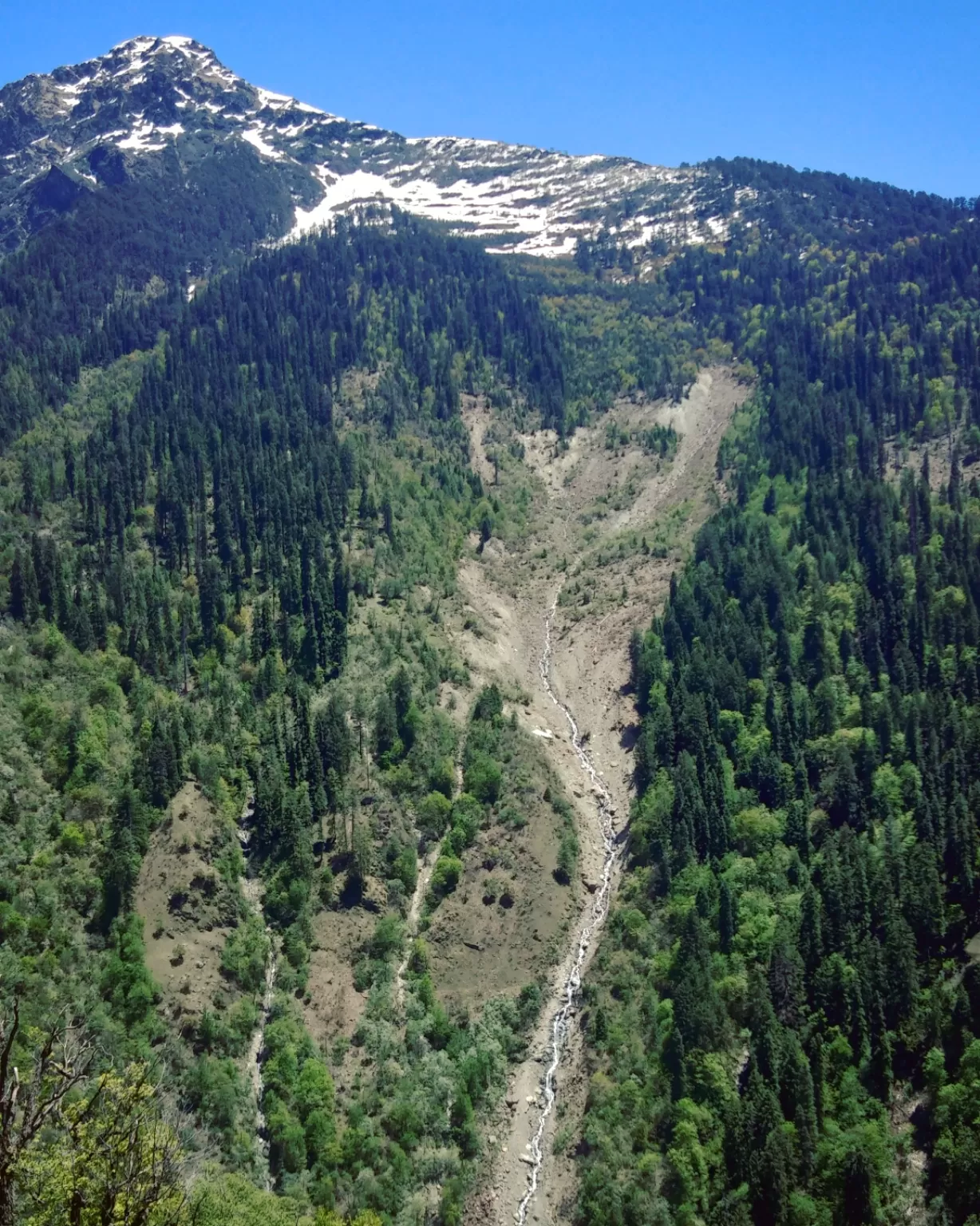 Photo of Pangi By Anshu Verma