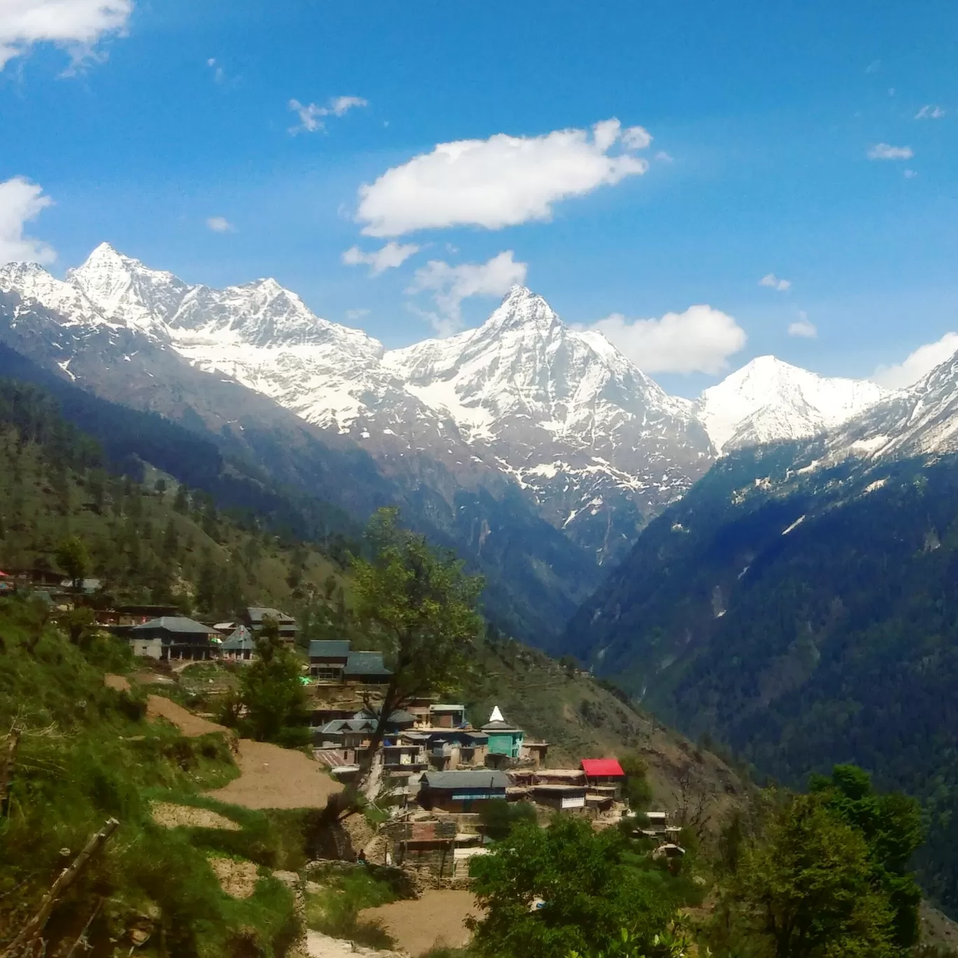 Photo of Pangi By Anshu Verma