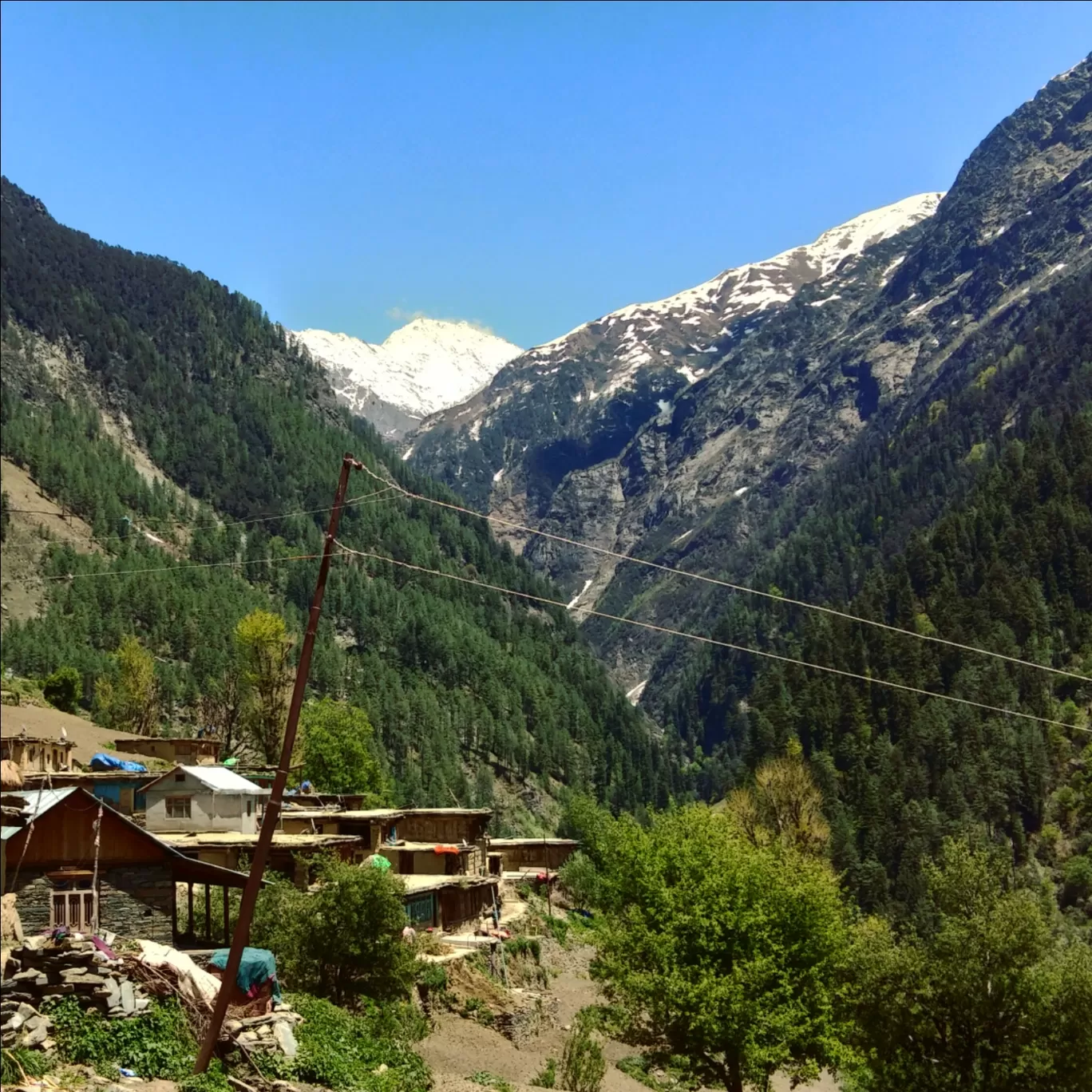 Photo of Pangi By Anshu Verma