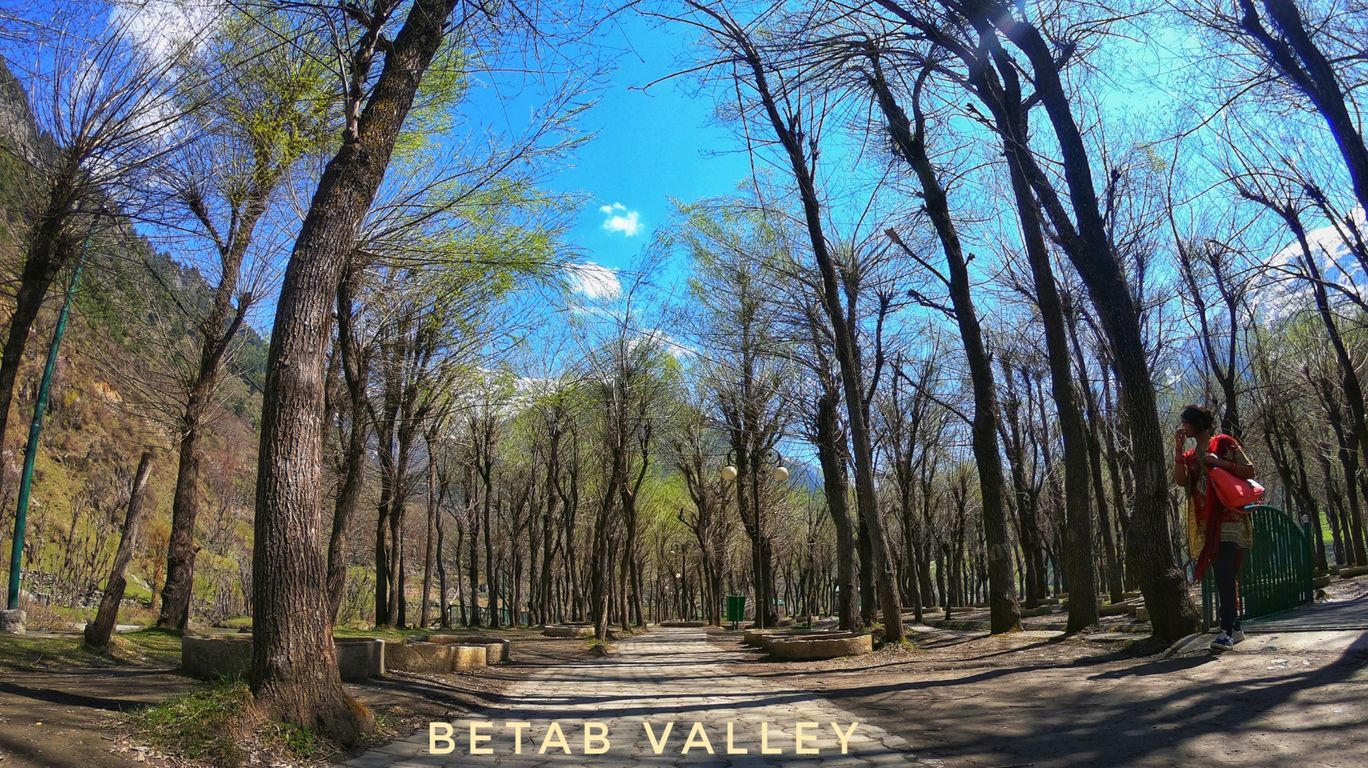 Photo of Betaab Valley By tripathy.babu
