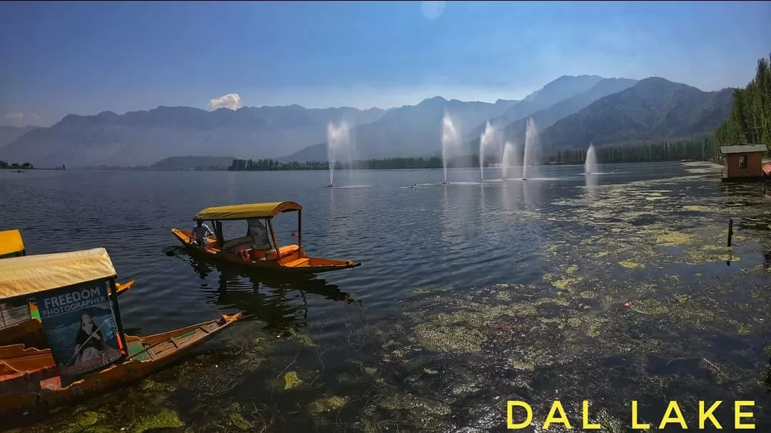 Photo of Dal Lake By tripathy.babu
