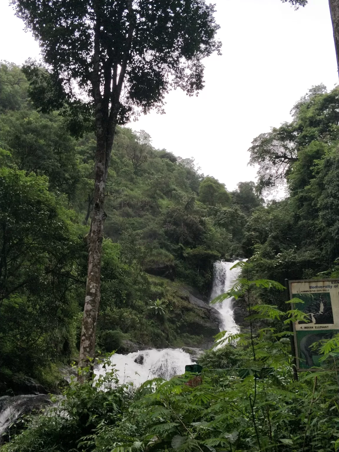 Photo of Nagarhole National Park And Tiger Reserve By Basu_Sams