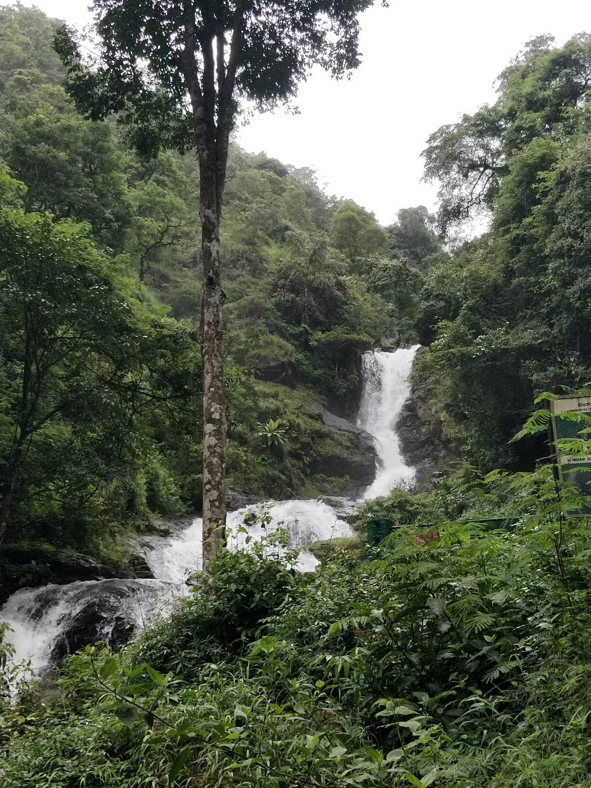 Photo of Nagarhole National Park And Tiger Reserve By Basu_Sams