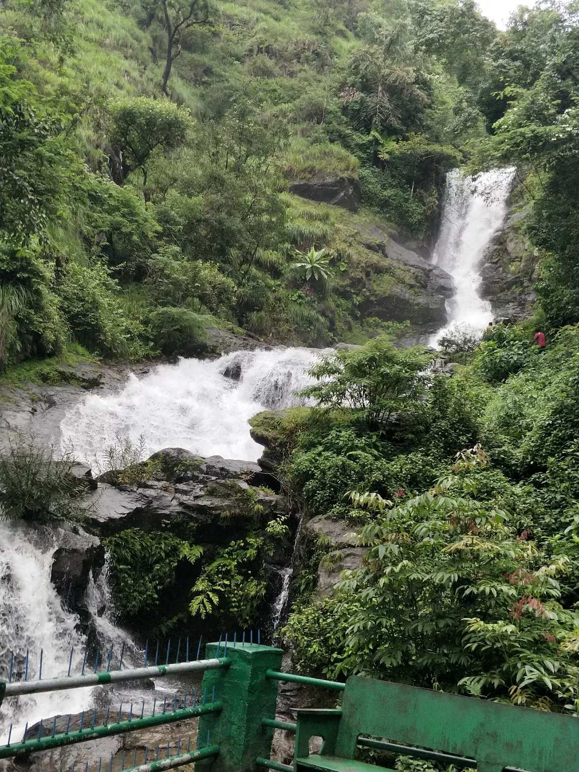 Photo of Nagarhole National Park And Tiger Reserve By Basu_Sams