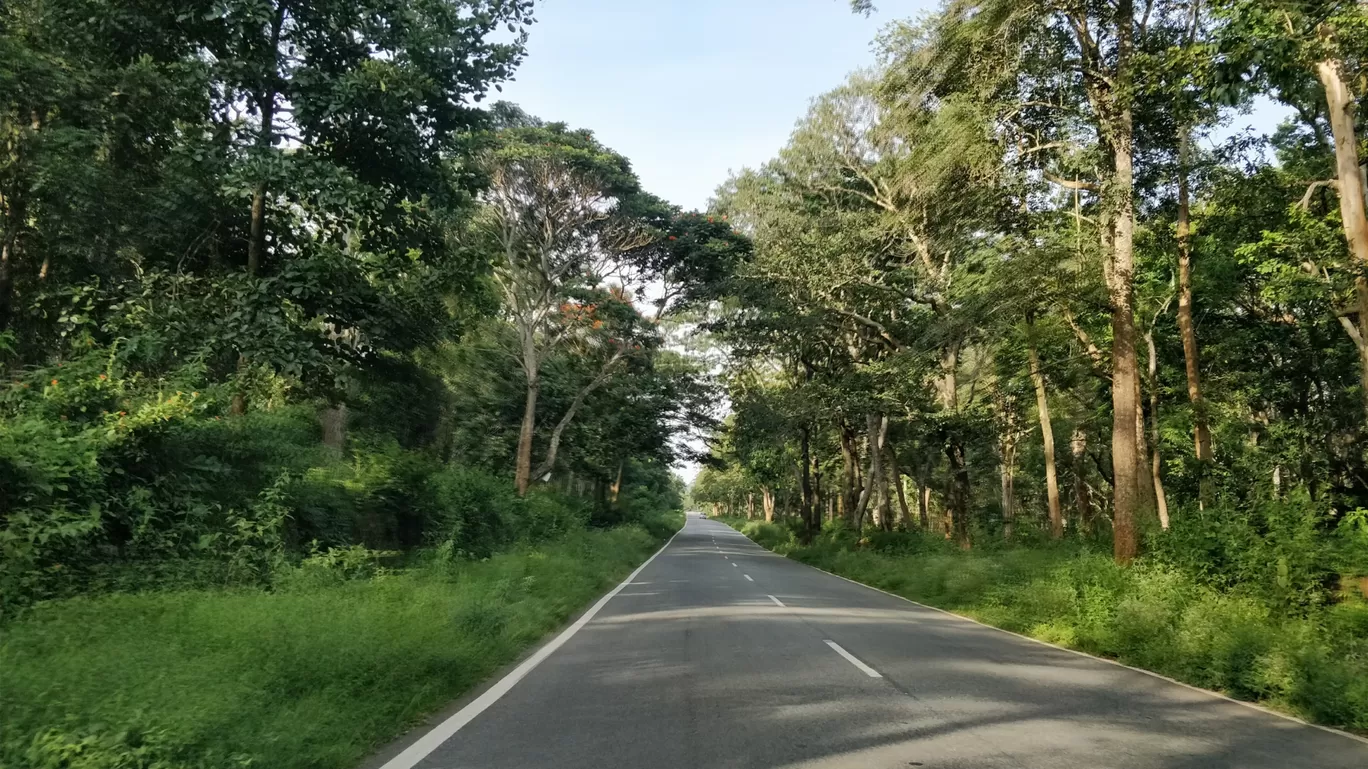 Photo of Nagarhole National Park And Tiger Reserve By Basu_Sams