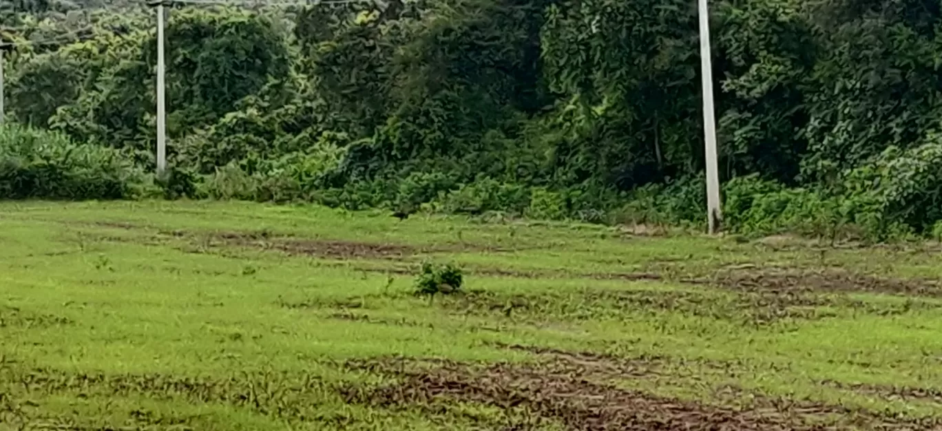 Photo of Shiggaon By Basu_Sams