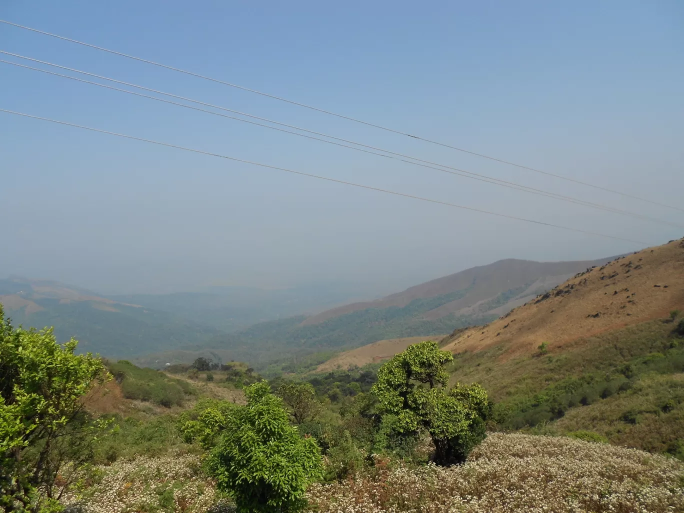 Photo of Chickmagaluru By Basu_Sams