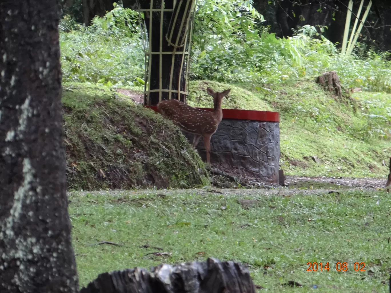 Photo of Nagarahole national park Safari By Basu_Sams