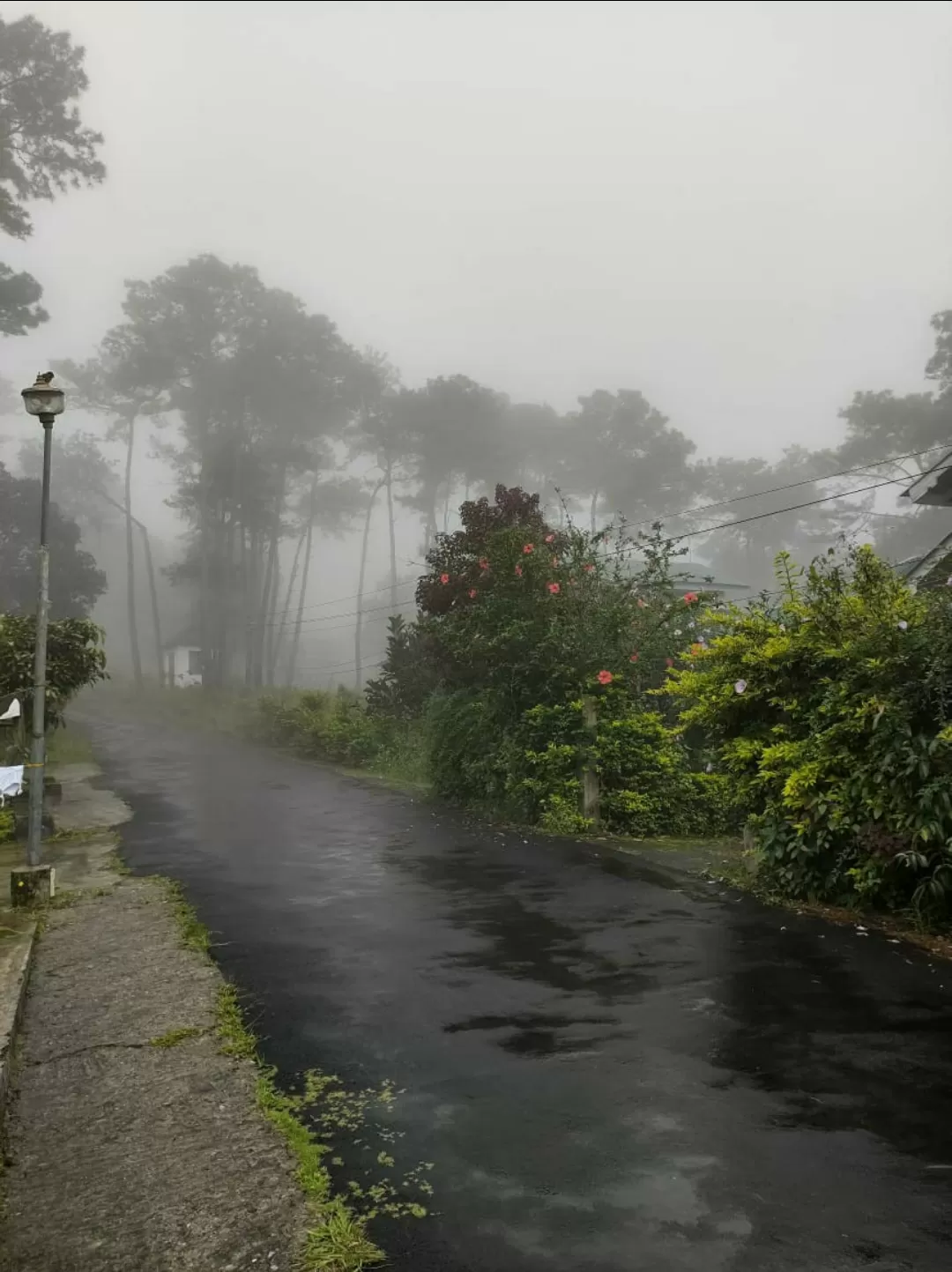 Photo of Hoodi Bengaluru By Prerna Sharma