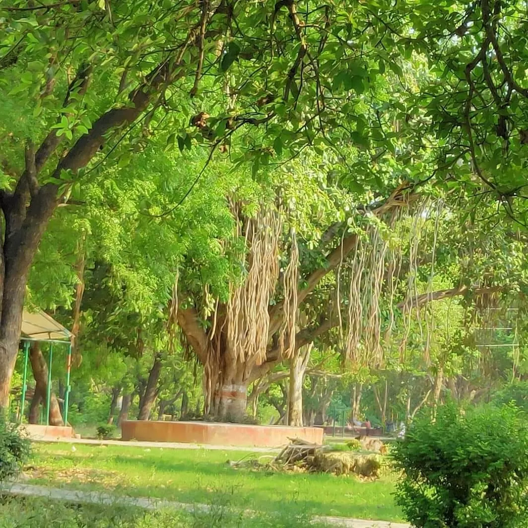 Photo of Lucknow By Jagruti Sanghavi