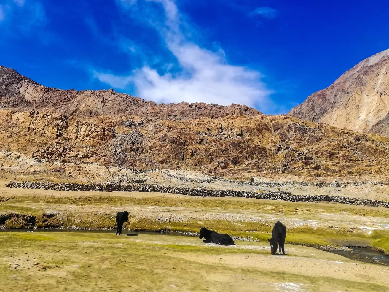 Photo of HEMIS NATIONAL PARK By Vasu Devan M