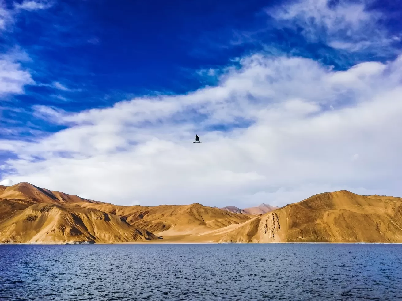 Photo of Pangong Lake By Vasu Devan M