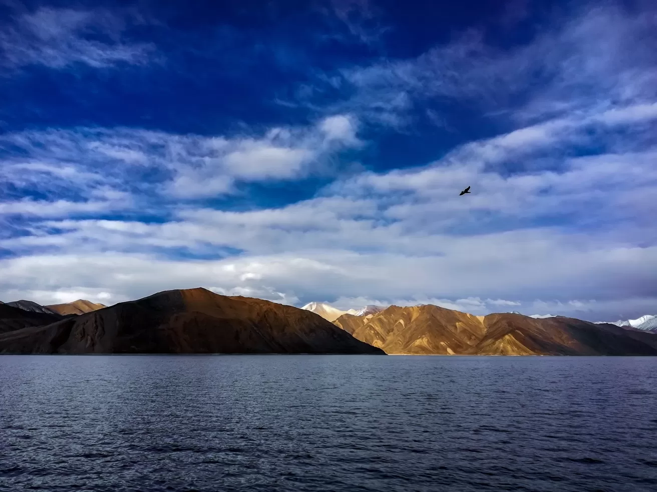 Photo of Pangong Lake By Vasu Devan M