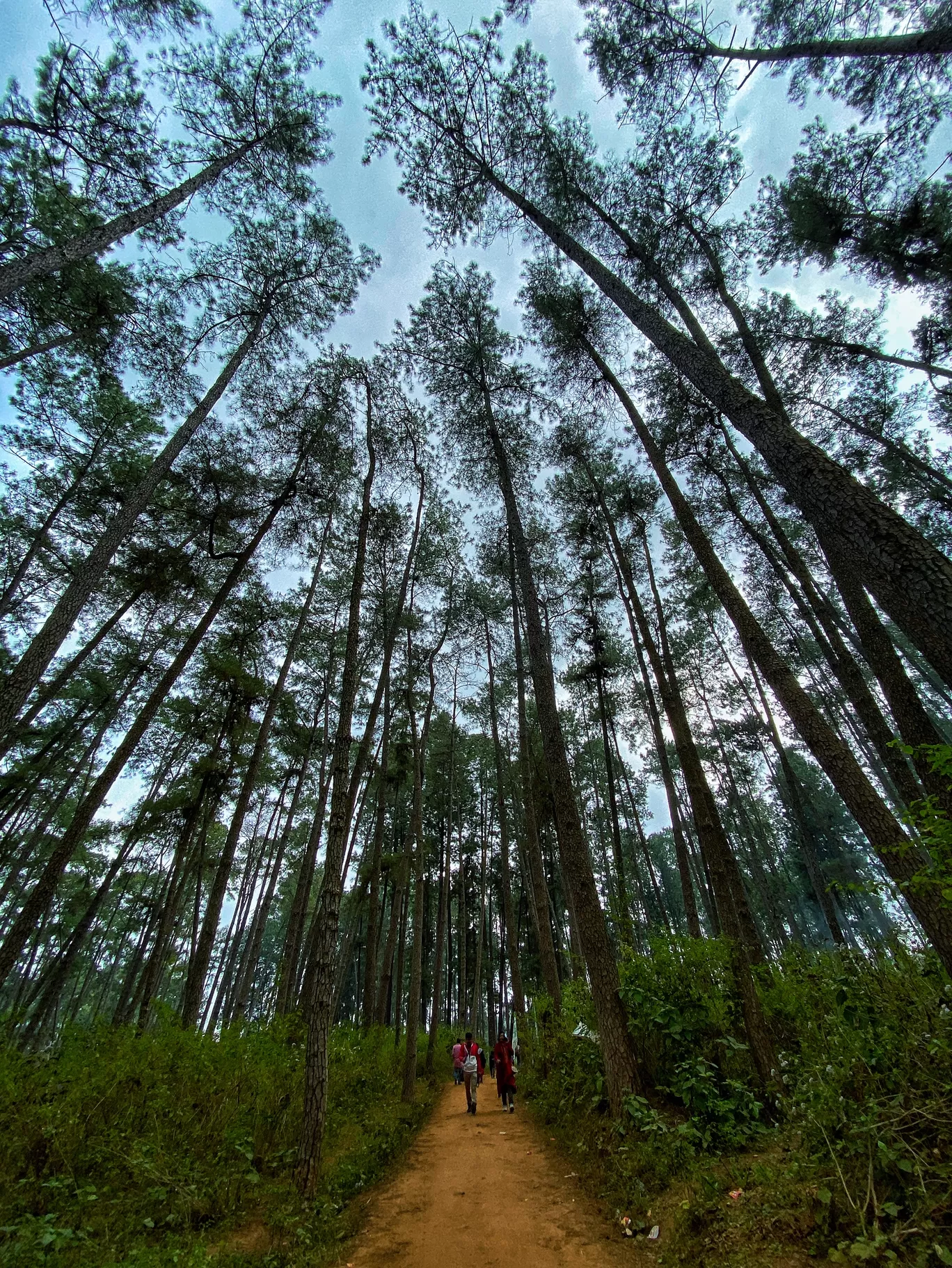 Photo of Daringbadi By Soumalya Dutta