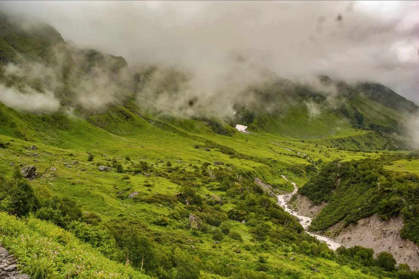 Photo of Valley of Flowers National Park By thatresfeber