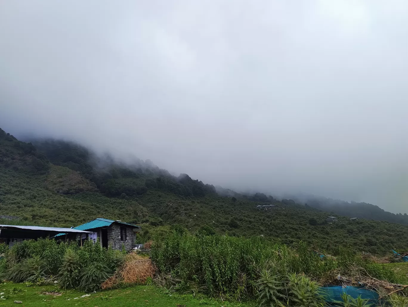 Photo of Triund Trek By Athiyo Chakma