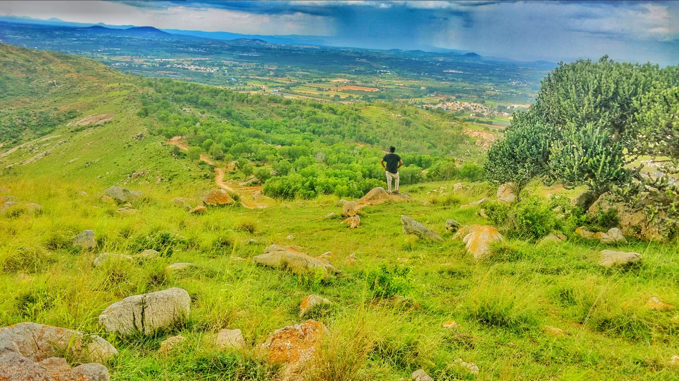 Photo of Coorg Pachibale By Karthik Venkataravanappa