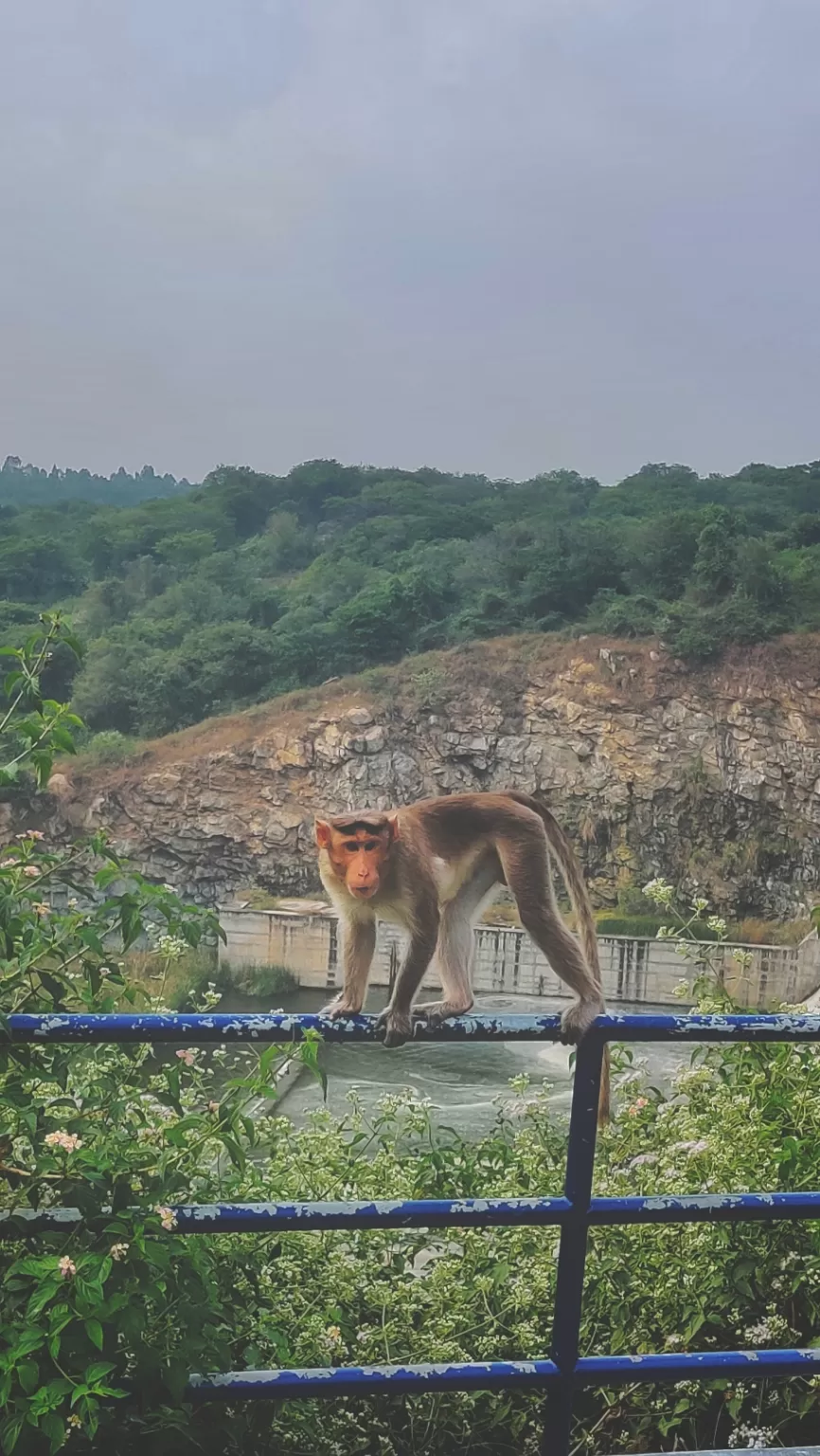 Photo of Yargol dam By Karthik Venkataravanappa