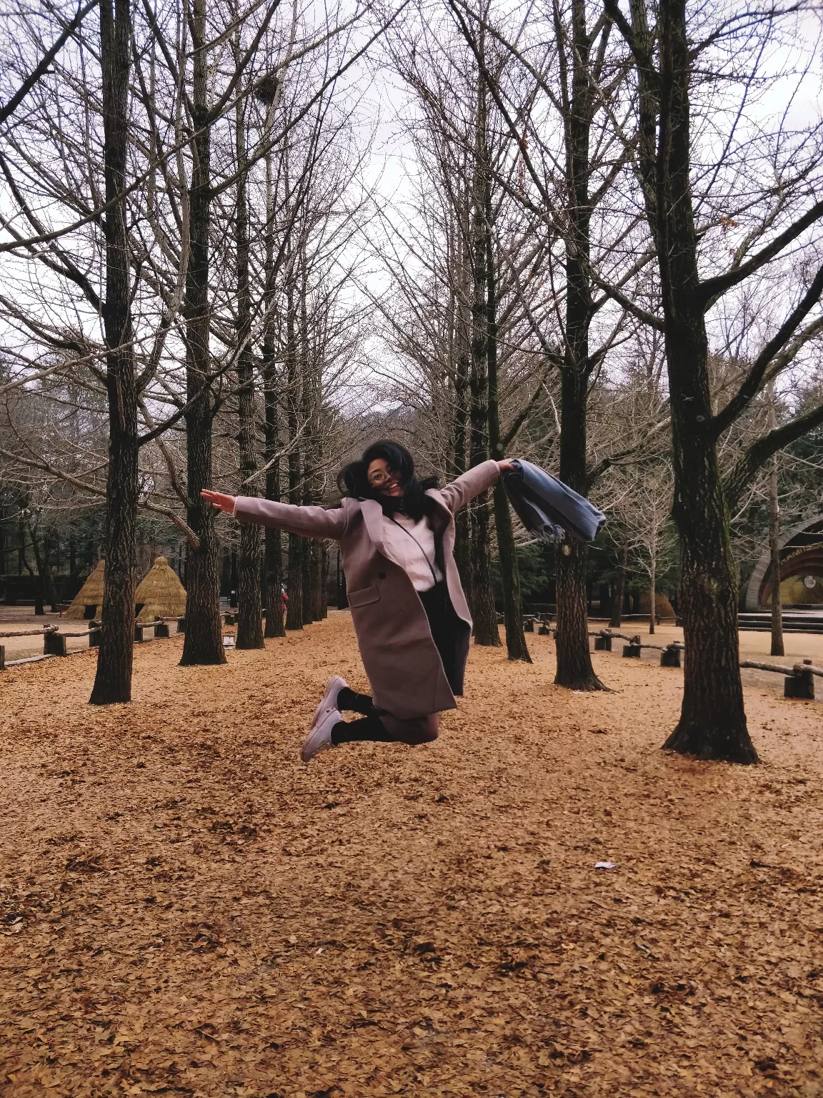 Photo of Nami Island By pcy preeti