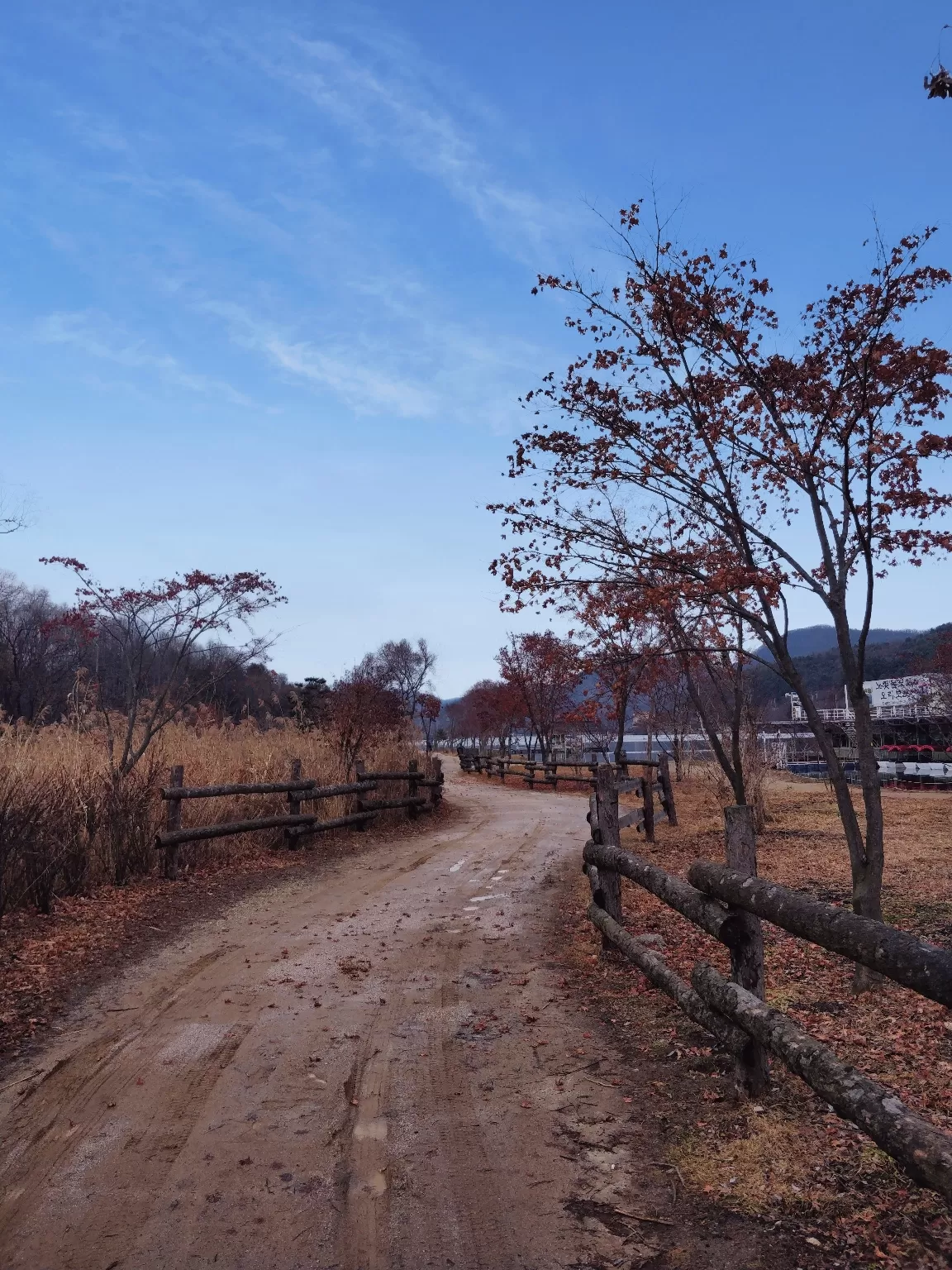 Photo of Nami Island By pcy preeti