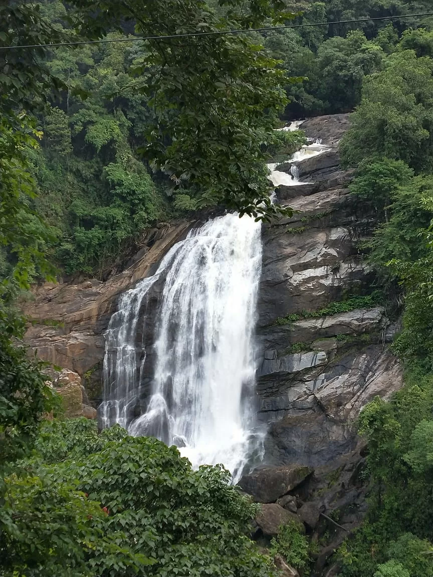 Photo of Cheeyappara Waterfalls By Dr. Yadwinder Singh 