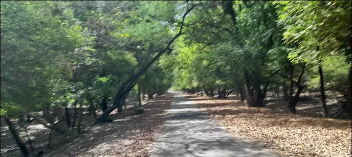 Photo of Keoladeo National Park By Dr. Yadwinder Singh 