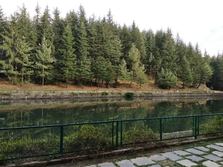 Photo of TanniJubbar Lake By Dr. Yadwinder Singh 