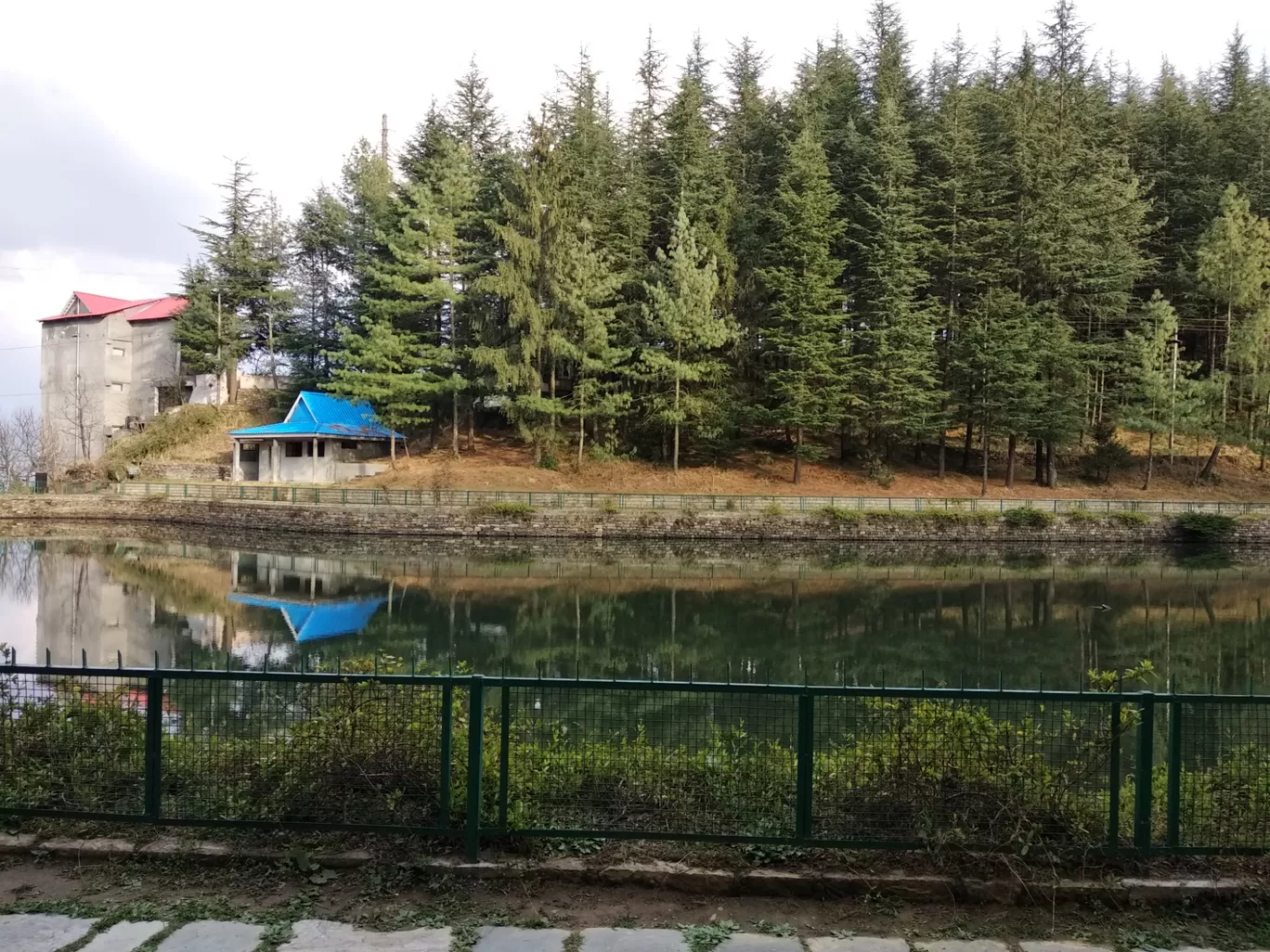 Photo of TanniJubbar Lake By Dr. Yadwinder Singh 