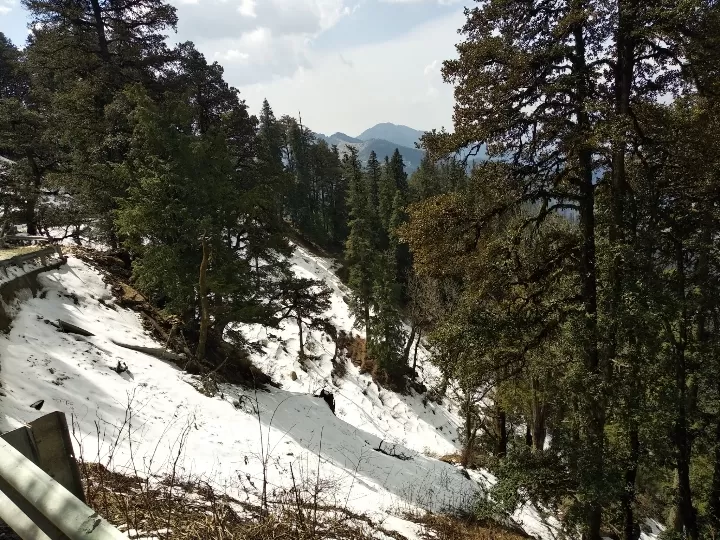 Photo of Hatu Peak By Dr. Yadwinder Singh 