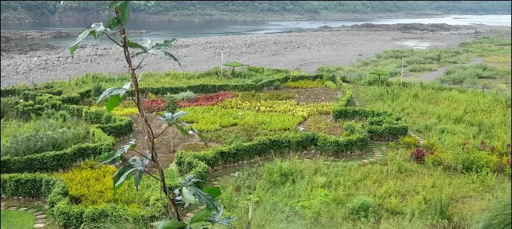 Photo of Valley of Flowers (ફ્લાવર વેલી) By Dr. Yadwinder Singh 