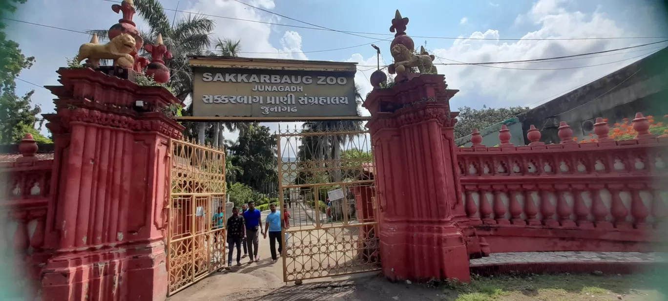 Photo of Sakkarbaug Zoological Park By Dr. Yadwinder Singh 