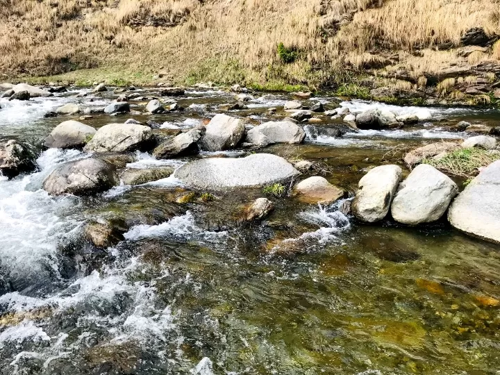 Photo of Sarthal By Dr. Yadwinder Singh 