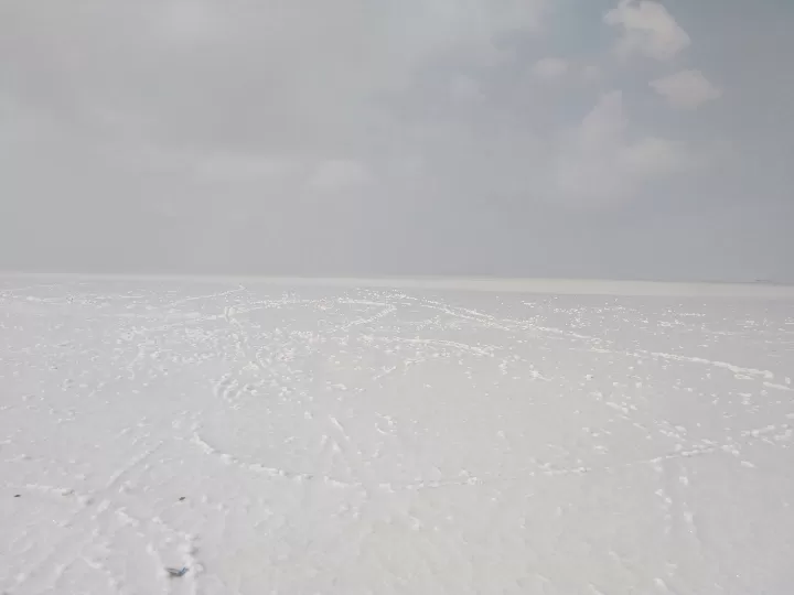 Photo of Great Rann of Kutch By Dr. Yadwinder Singh 