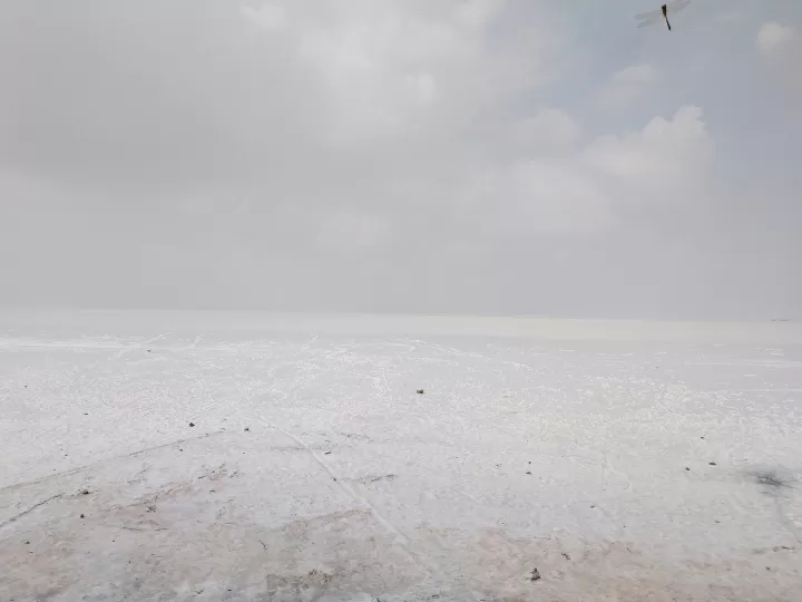 Photo of Great Rann of Kutch By Dr. Yadwinder Singh 